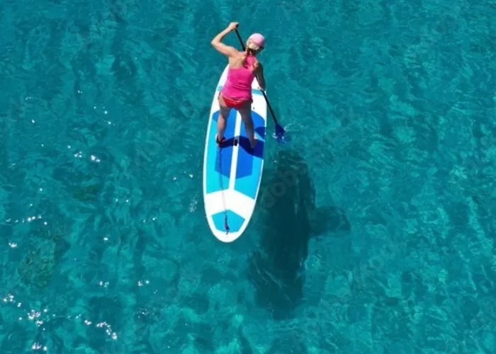 Villa Iconic Prive Beachfront